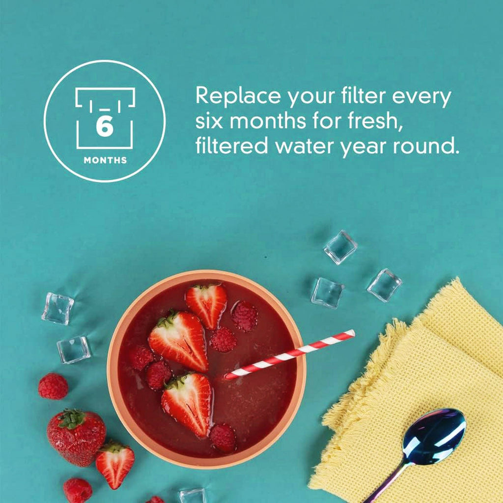 ICE2 F2WC9I1 Ice Maker Filter, F2WC9I1 ICE2 water filter