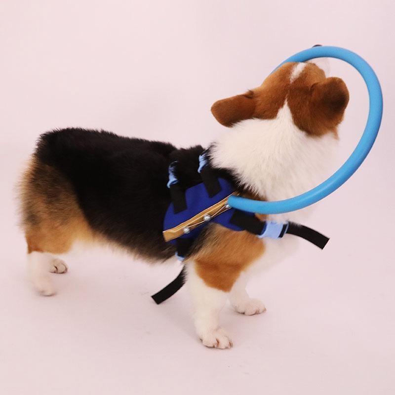 Blind Dog Halo Harness with Protective Bumper Ring and Adjustable Straps - Image 4