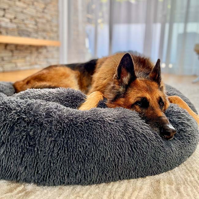 Calming Donut Dog Bed with Plush Raised Rim and Sunken Center Cushion - Image 1