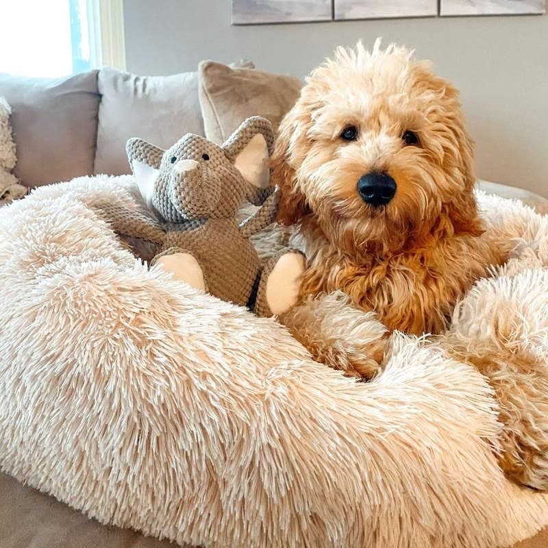 Calming Donut Dog Bed with Plush Raised Rim and Sunken Center Cushion - Image 11