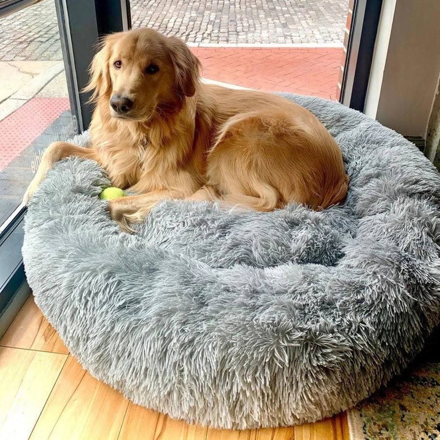 Calming Donut Dog Bed with Plush Raised Rim and Sunken Center Cushion - Image 13