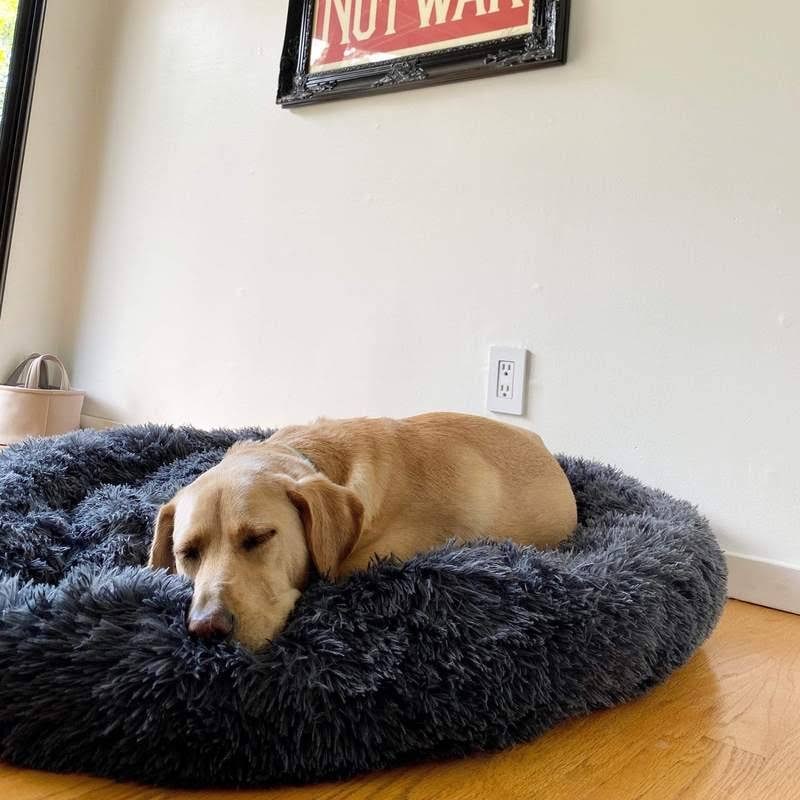 Calming Donut Dog Bed with Plush Raised Rim and Sunken Center Cushion - Image 14