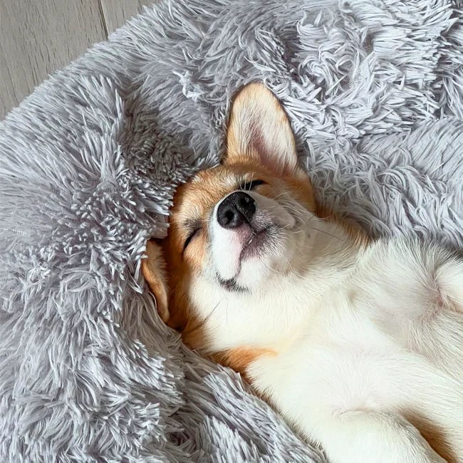 Calming Donut Dog Bed with Plush Raised Rim and Sunken Center Cushion - Image 3