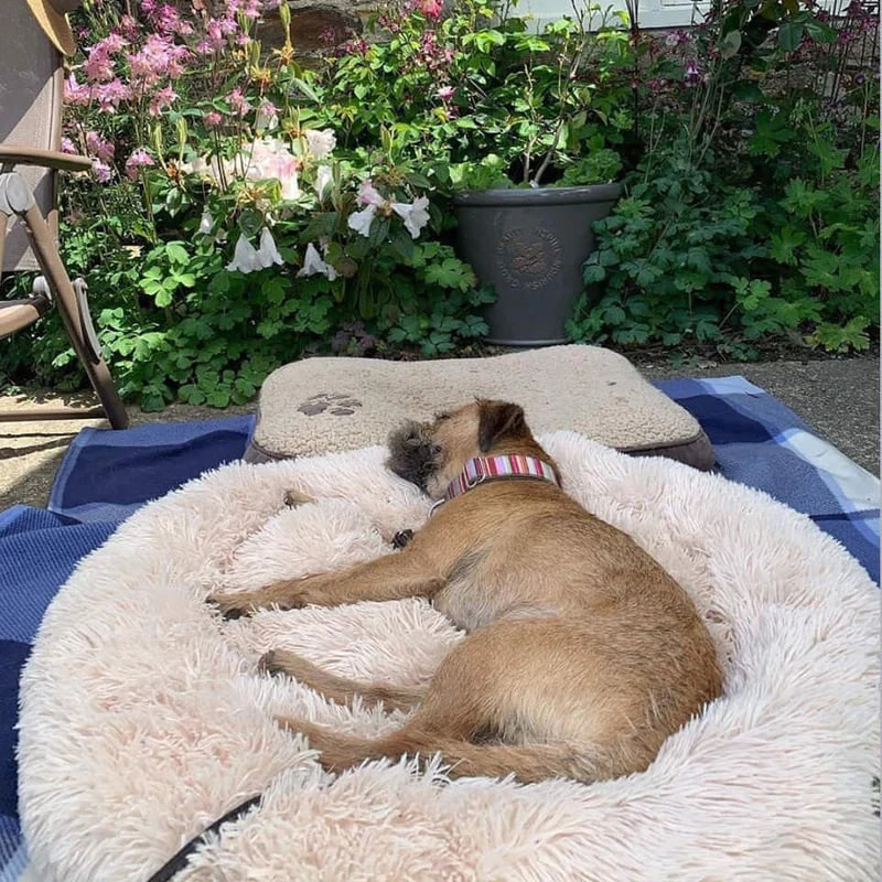 Calming Donut Dog Bed with Plush Raised Rim and Sunken Center Cushion - Image 8