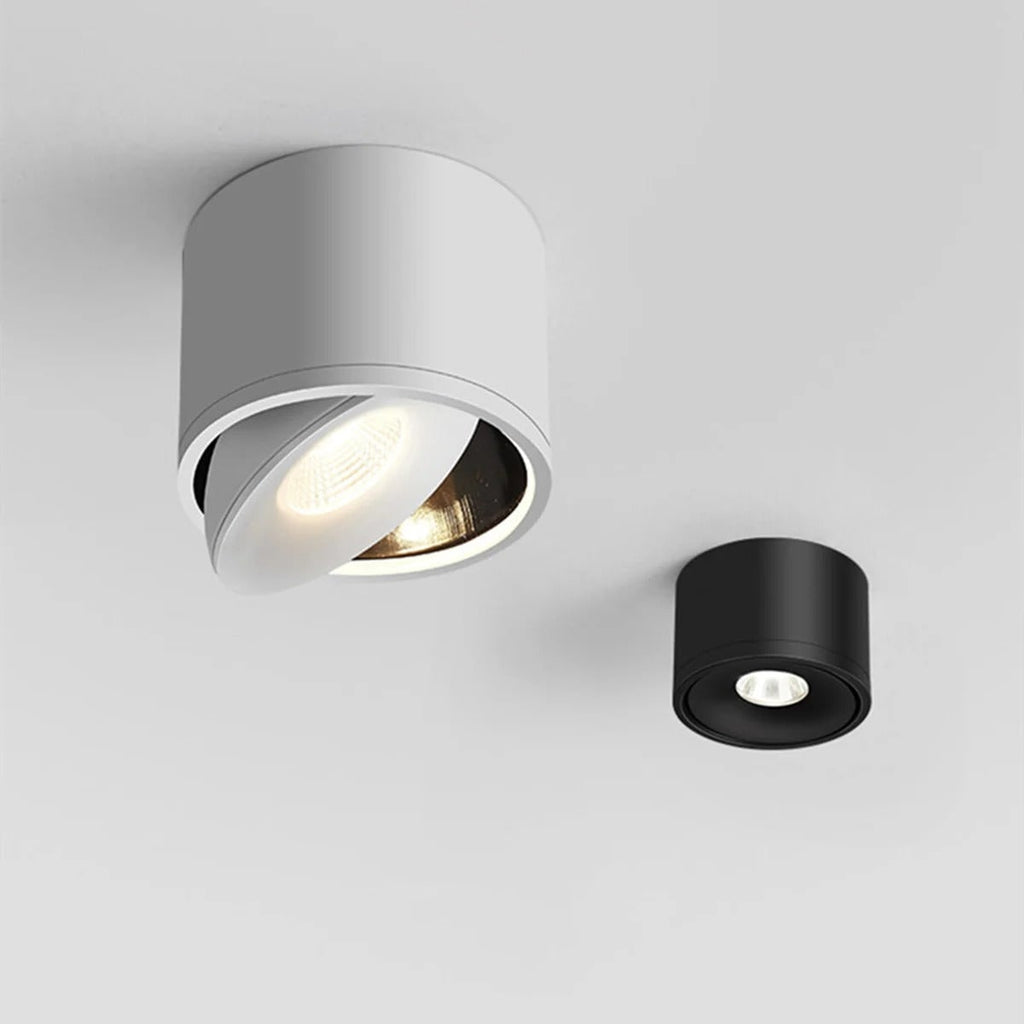 Ceiling Light with Adjustable Rotatable Spotlight and Directional Head - Image 1