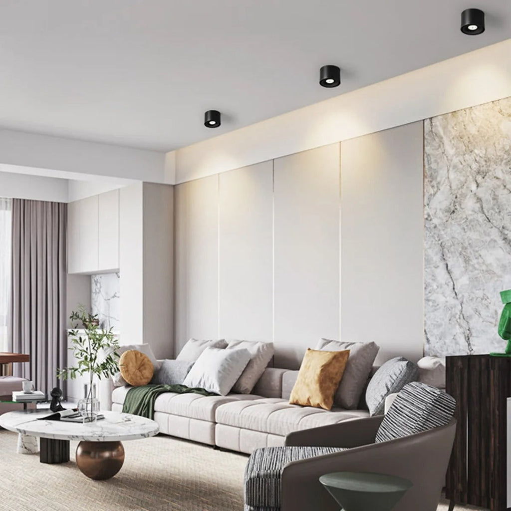 Ceiling Light with Adjustable Rotatable Spotlight and Directional Head - Image 3