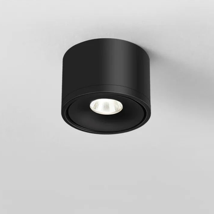 Ceiling Light with Adjustable Rotatable Spotlight and Directional Head - Image 6