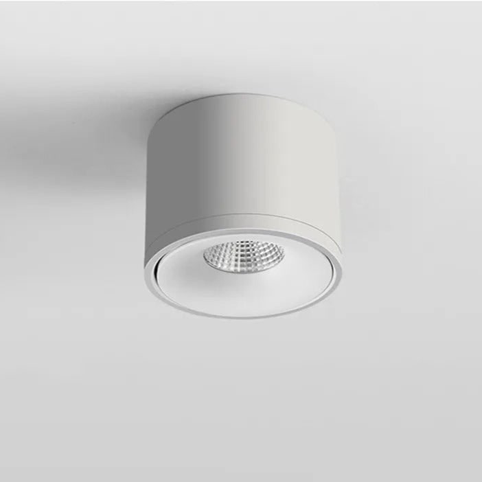 Ceiling Light with Adjustable Rotatable Spotlight and Directional Head - Image 7