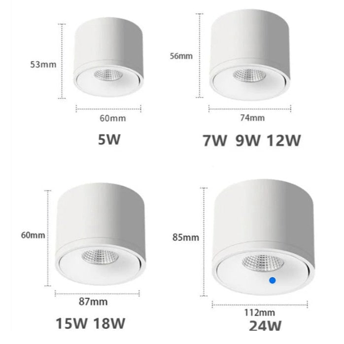 Ceiling Light with Adjustable Rotatable Spotlight and Directional Head - Image 9