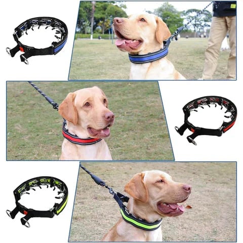 Dog Prong Training Collar with Reflective Cover and Quick-Release Buckle - Image 3
