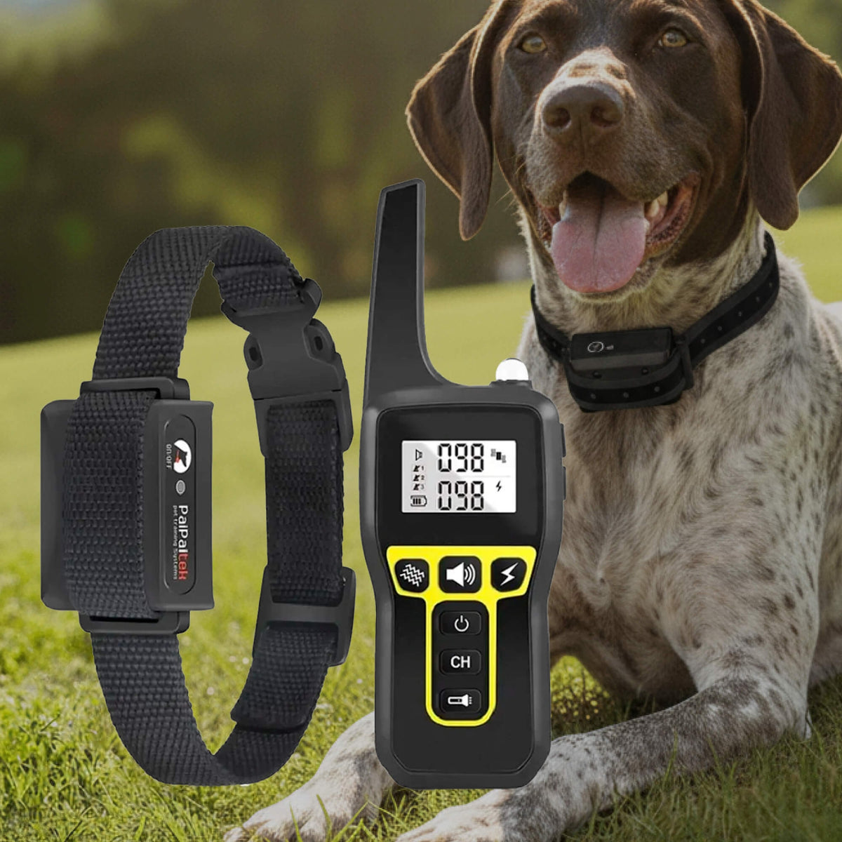 Dog Training Collar with Remote Control Waterproof Shock and Vibration - Image 12