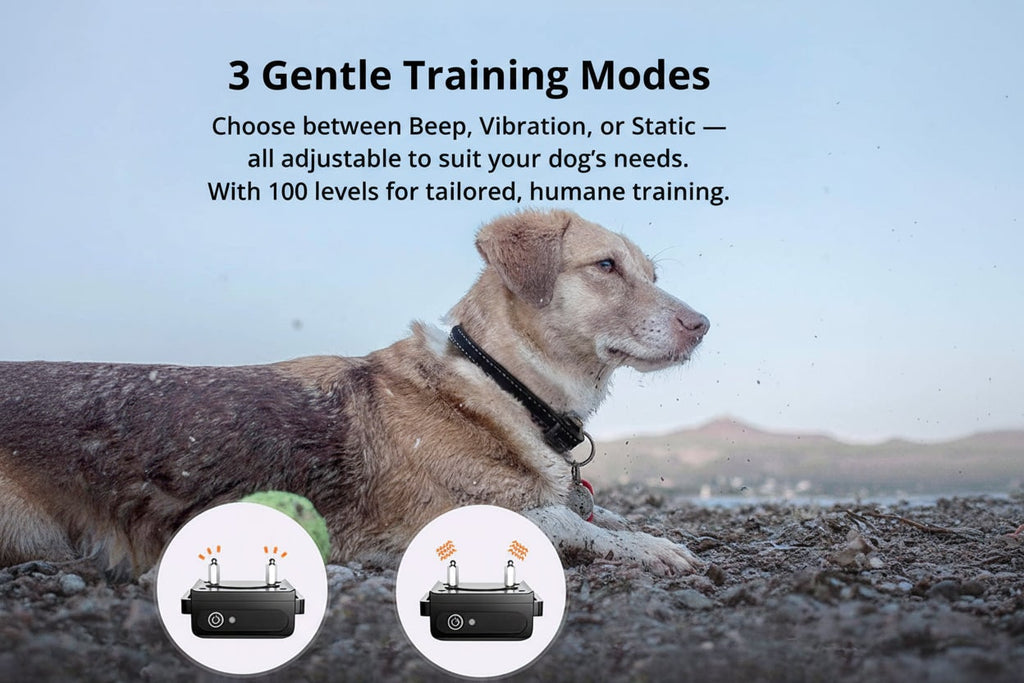 Dog Training Collar with Remote Control Waterproof Shock and Vibration - Image 2