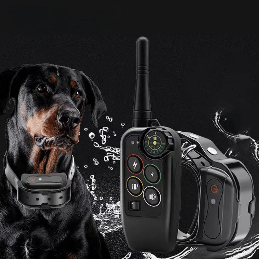 Dog Training Collar with Remote Control Waterproof Shock Receiver with 1000m Range - Image 2