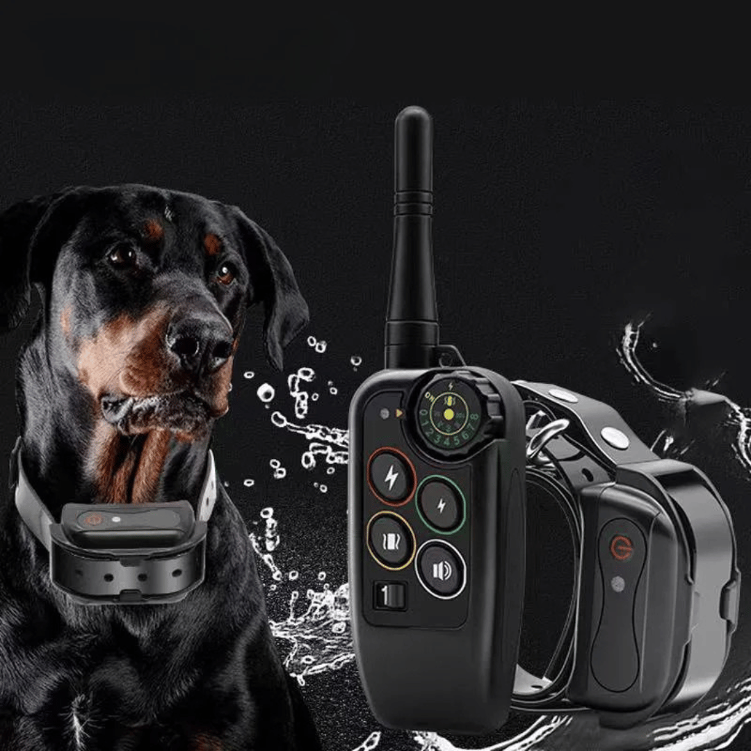 Dog Training Collar with Remote Control Waterproof Shock Receiver with 1000m Range - Image 2