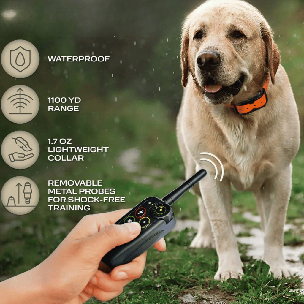 Dog Training Collar with Remote Control Waterproof Shock Receiver with 1000m Range - Image 5