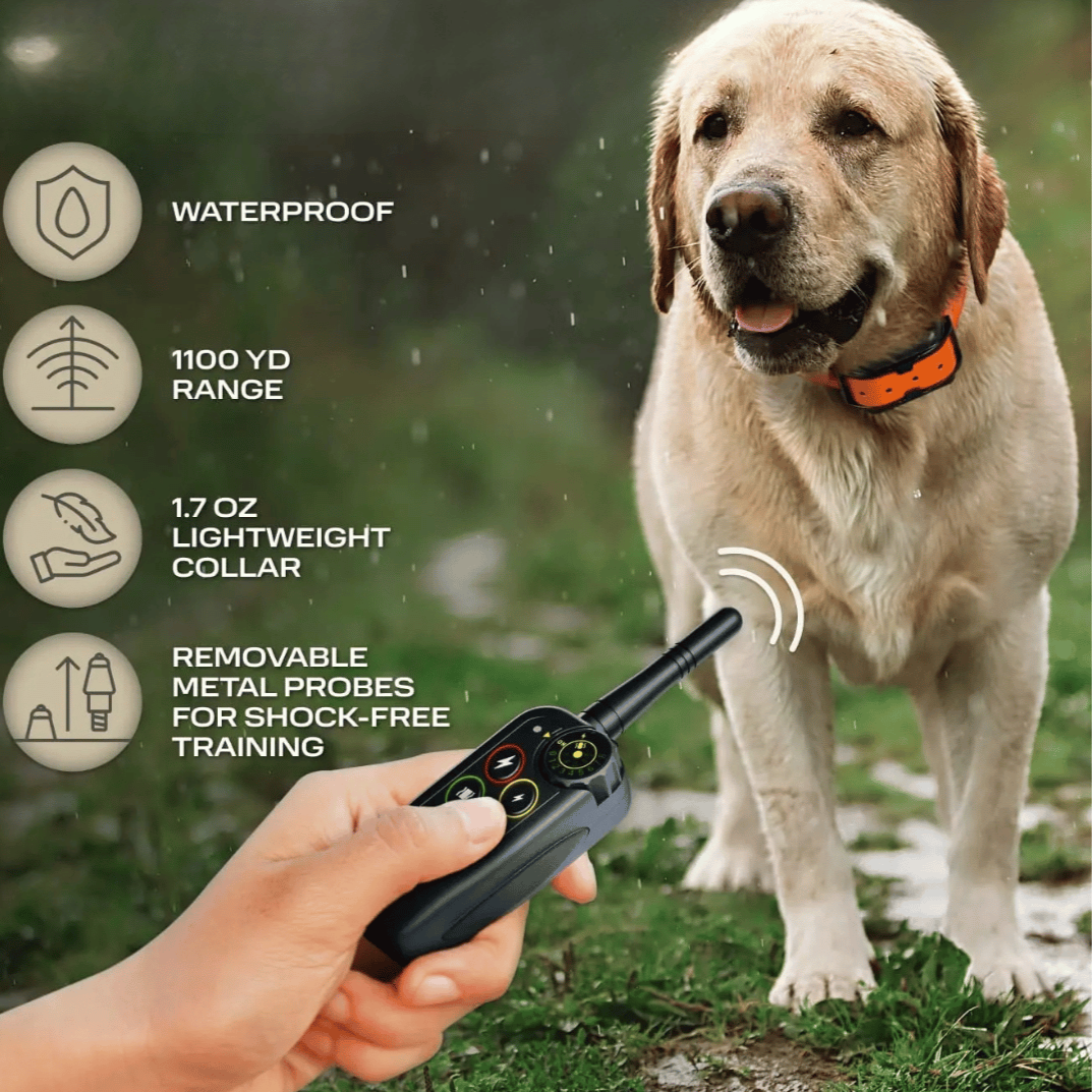 Dog Training Collar with Remote Control Waterproof Shock Receiver with 1000m Range - Image 5