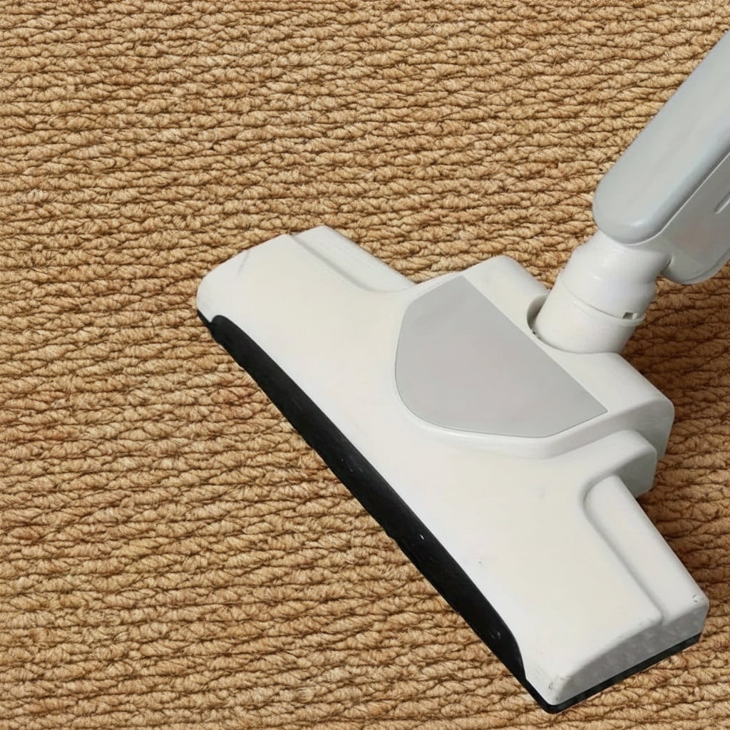 Indoor Doormat with Absorbent Non-Slip Backing for Entryway - Image 9