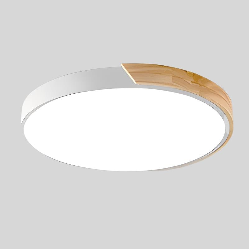 LED Ceiling Light Fixture with Flush Mount and Modern Round Design - Image 17