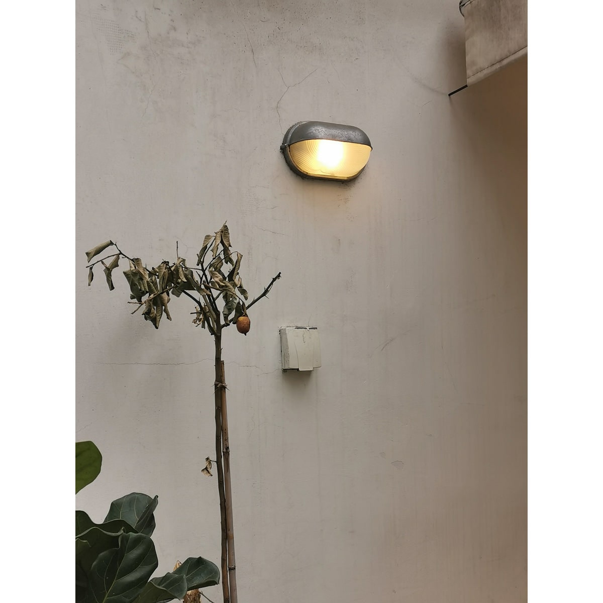 Outdoor Bulkhead Wall Light with Oval Design and Ribbed Glass Diffuser - Image 17