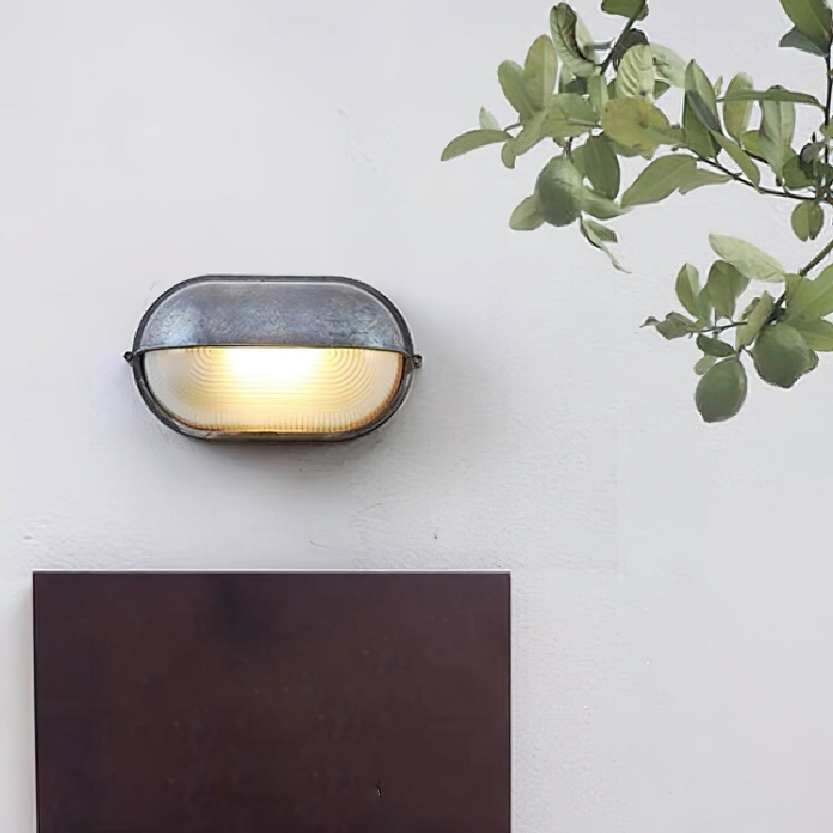 Outdoor Bulkhead Wall Light with Oval Design and Ribbed Glass Diffuser - Image 6
